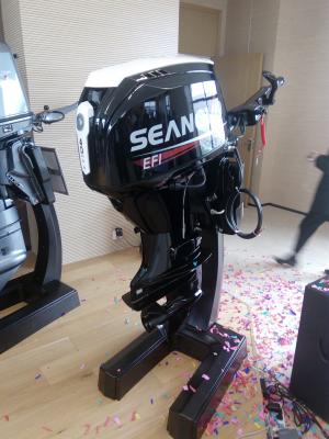 Лодочный мотор Seanovo SN 75 FHL-D