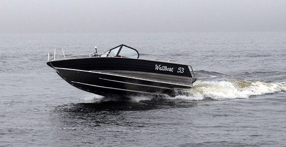 Wellboat-53 Fish
